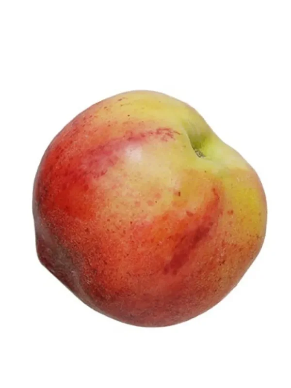 Aldik Home Fruit And Vegetables<Peach 2.8 in.