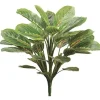 Aldik Home Desk Plants | Tropical Plants & Flowers<Peacock Plant 19 in. Green / Mauve