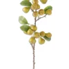 Aldik Home Fruit And Vegetables<Pear Stem 30 in.
