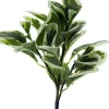 Aldik Home Desk Plants | Tropical Plants & Flowers<Pepperomia Bush 12 in. Green / White