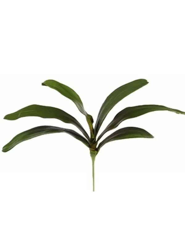 Aldik Home Silk Orchids<Phalaenopsis Foliage 18 in.