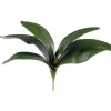 Aldik Home Silk Orchids<Phalaenopsis Foliage 11 in.