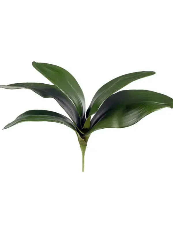 Aldik Home Silk Orchids<Phalaenopsis Foliage 11 in.