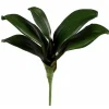 Aldik Home Silk Orchids<Phalaenopsis Foliage Small 9 in.