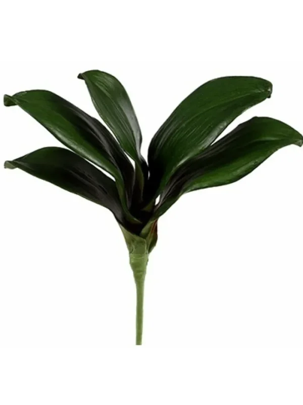 Aldik Home Silk Orchids<Phalaenopsis Foliage Small 9 in.