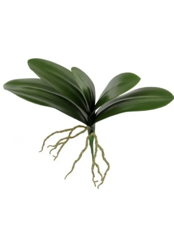 Aldik Home Silk Orchids<Phalaenopsis Leaf 15 in.