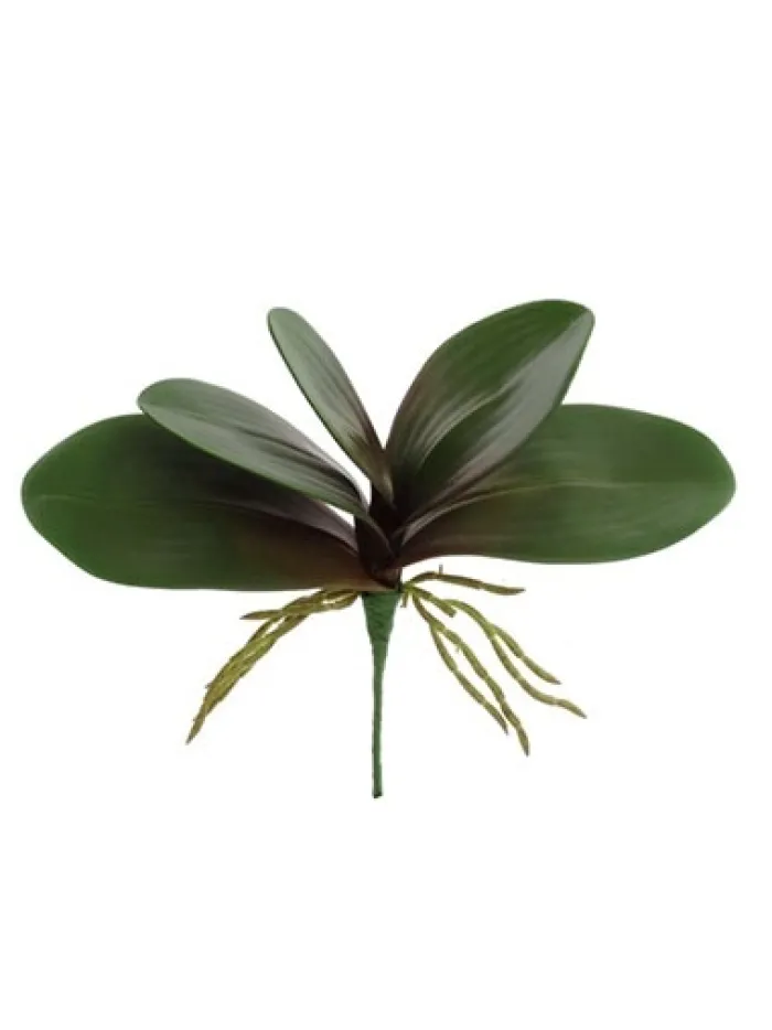 phalaenopsis_leaf__in_0.webp Aldik Home Silk Orchids<Phalaenopsis Leaf 11 in.