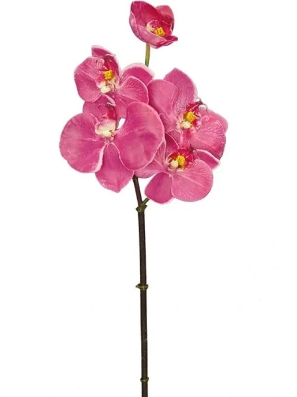 Aldik Home Silk Orchids<Phalaenopsis Mini 20 in. Fuchsia