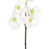 Aldik Home Silk Orchids<Phalaenopsis Mini 20 in. White