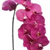 Aldik Home Silk Orchids<Phalaenopsis Spray 45 in. Fuchsia