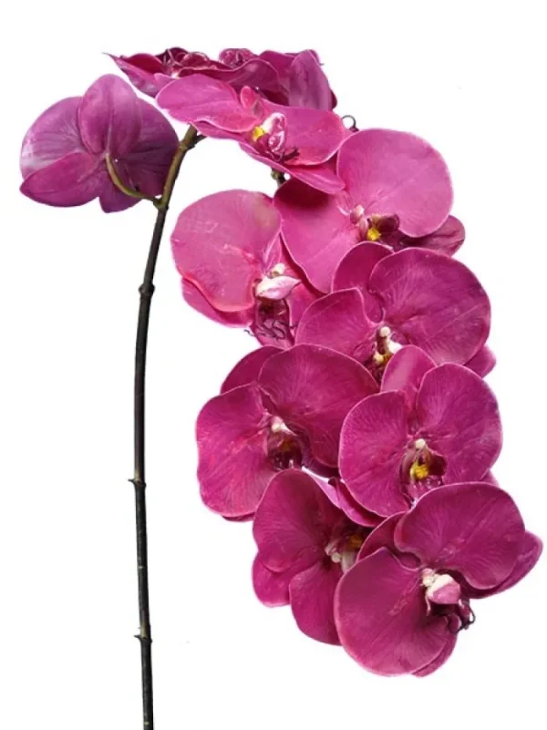 Aldik Home Silk Orchids<Phalaenopsis Spray 45 in. Fuchsia