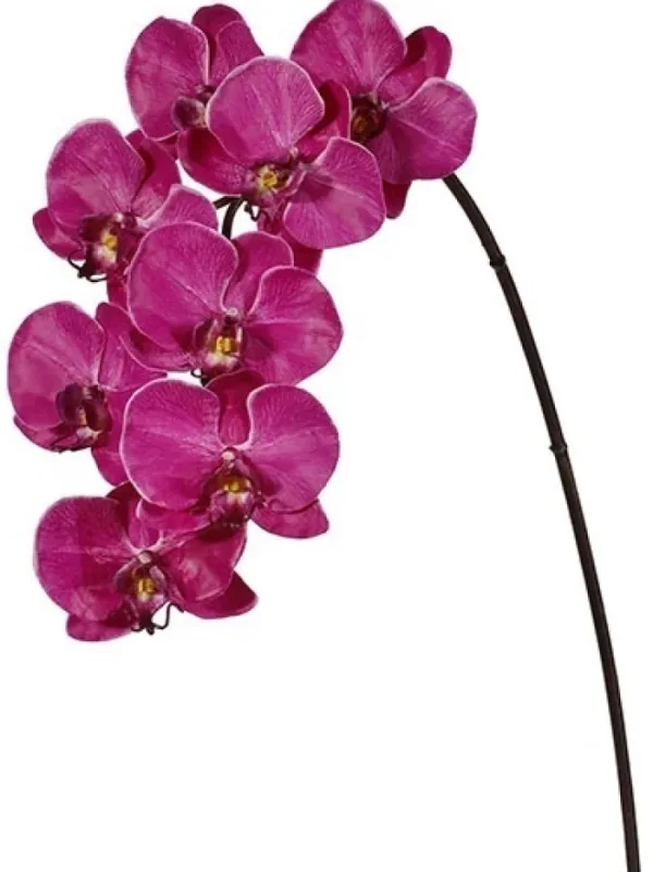 Aldik Home Silk Orchids<Phalaenopsis Spray 37.5 in. Fuchsia