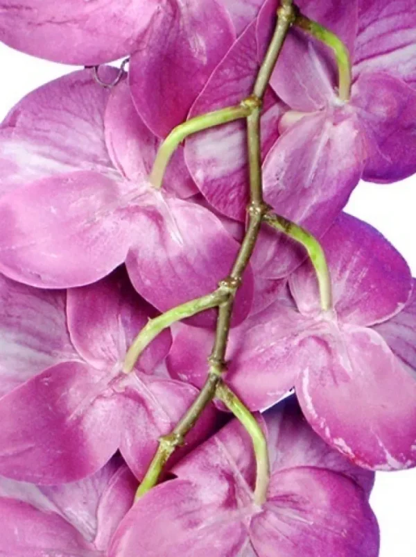 Aldik Home Silk Orchids<Phalaenopsis Spray 45 in. Fuchsia