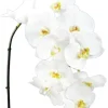 Aldik Home Silk Orchids<Phalaenopsis Spray 45 in. White