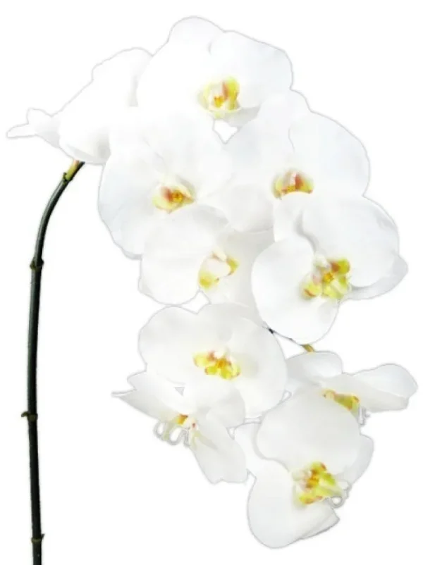 Aldik Home Silk Orchids<Phalaenopsis Spray 45 in. White