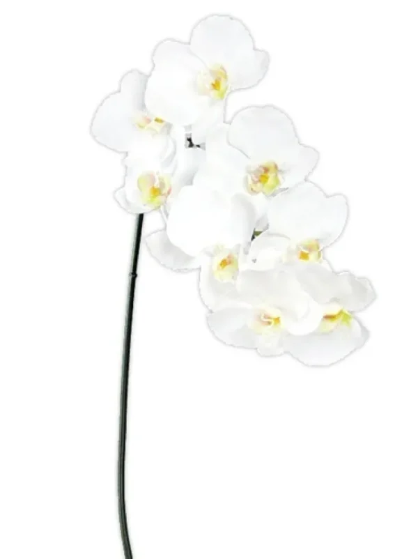 Aldik Home Silk Orchids<Phalaenopsis Spray 37.5 in. White