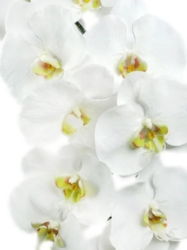 Aldik Home Silk Orchids<Phalaenopsis Spray 45 in. White