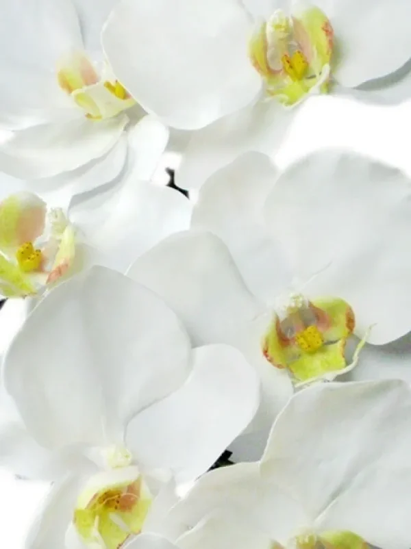 Aldik Home Silk Orchids<Phalaenopsis Spray 37.5 in. White