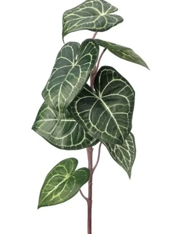 Aldik Home Tropical Plants & Flowers<Philo Gloriosa 28 in.