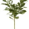 Aldik Home Artificial Tree Branches | Tropical Plants & Flowers<Pittisporum Branch 20 in.