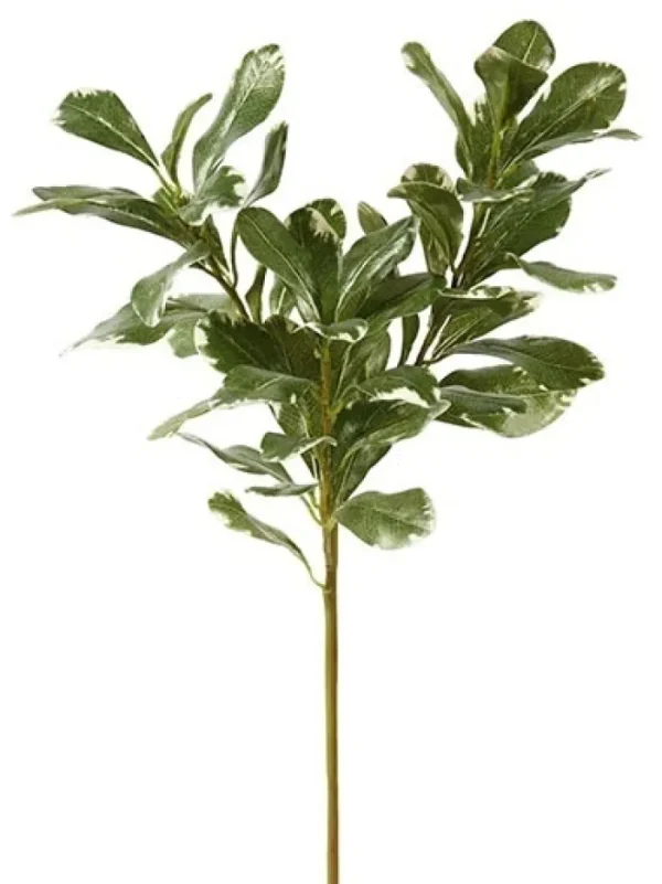 Aldik Home Artificial Tree Branches | Tropical Plants & Flowers<Pittisporum Branch 20 in.