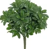 Aldik Home Desk Plants<Pittosporum Bush 13 in. Green/Cream