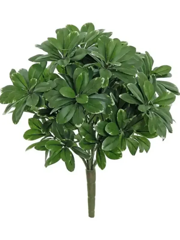 Aldik Home Desk Plants<Pittosporum Bush 13 in. Green/Cream