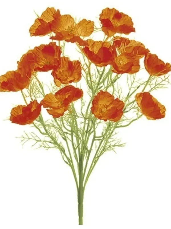 Aldik Home Flowering Bushes<Poppy Bush 21.5 in. Orange