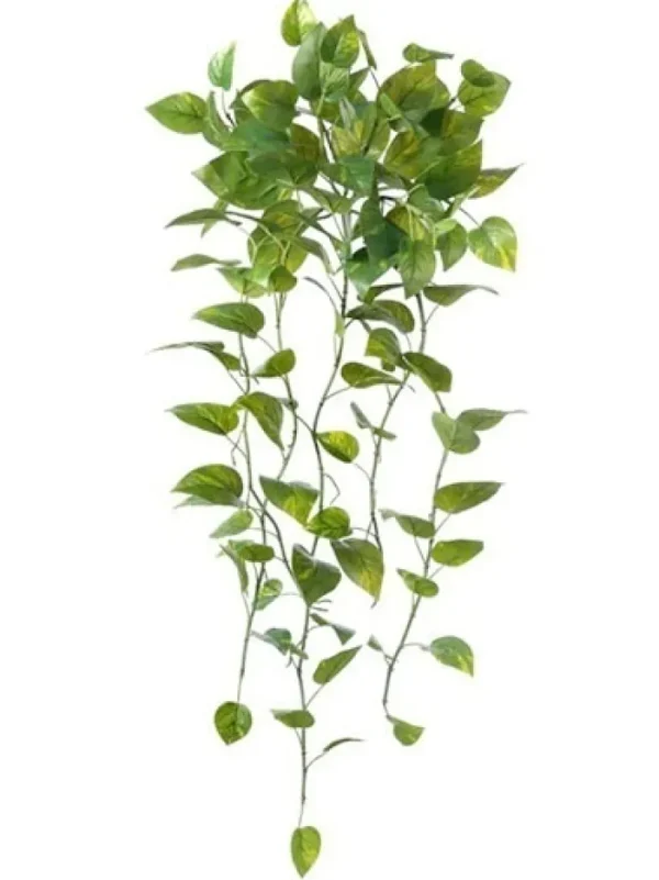 Aldik Home Tropical Plants & Flowers<Pothos Bush 39 in.