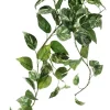 Aldik Home Tropical Plants & Flowers<Pothos Bush 27 in. Green / White