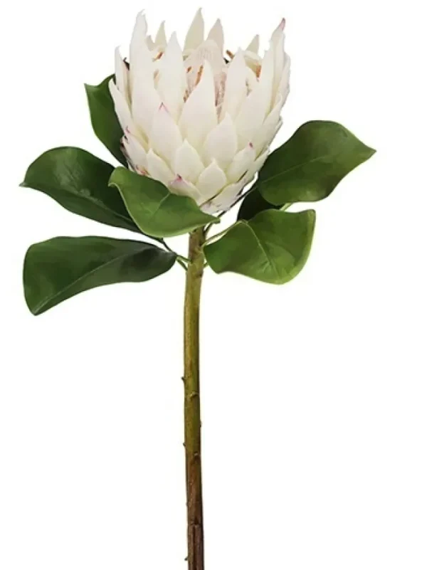 Aldik Home Tropical Plants & Flowers<Protea Large 32 in. White