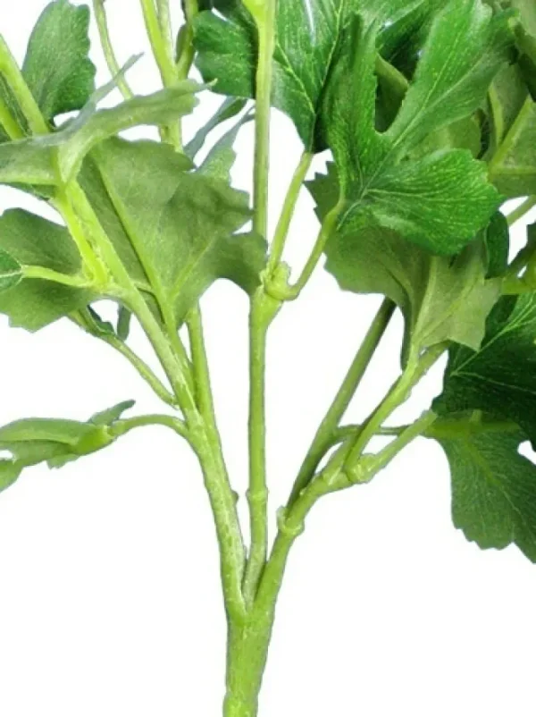 Aldik Home Flowering Bushes<Ranunculus Bush 13 in. Cream