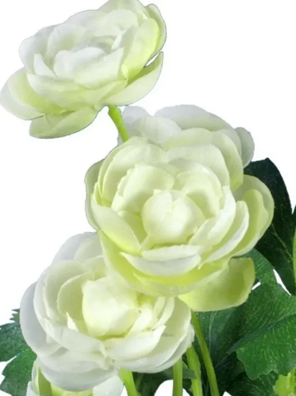 Aldik Home Flowering Bushes<Ranunculus Bush 13 in. Cream