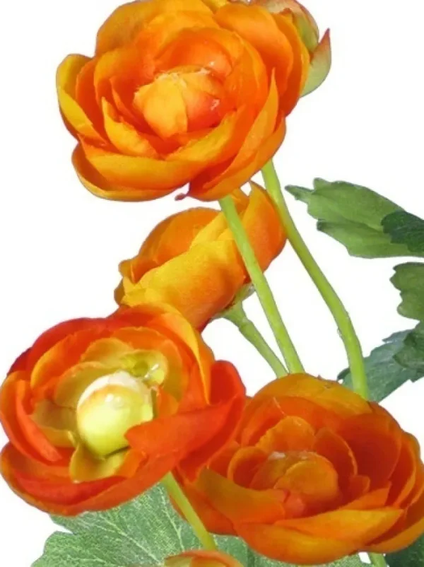 Aldik Home Flowering Bushes<Ranunculus Bush 13 in. Orange