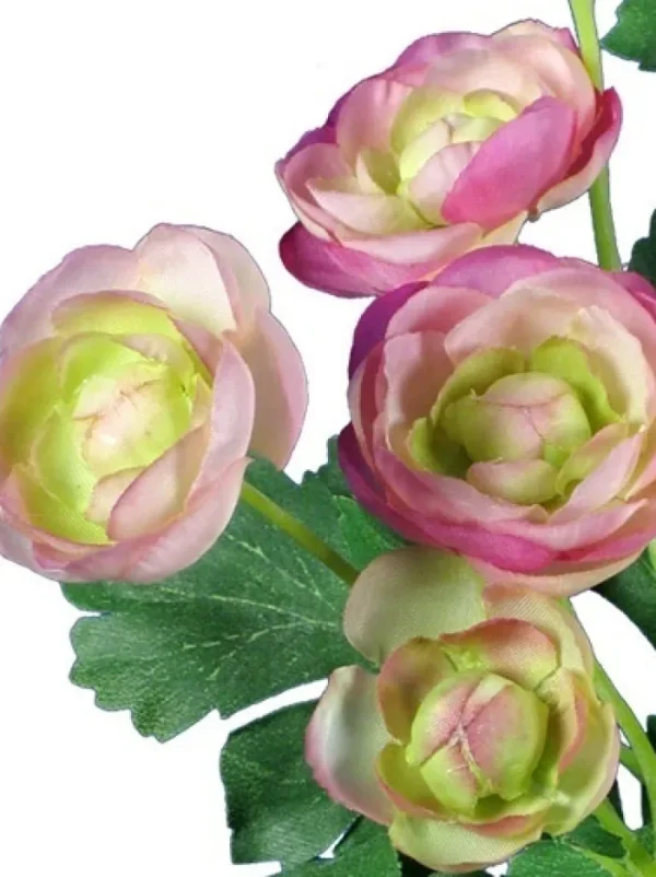 Aldik Home Flowering Bushes<Ranunculus Bush 13 in. Pink