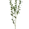 Aldik Home Tropical Plants & Flowers<Ruscus Hypophyllum Spray 47 in.