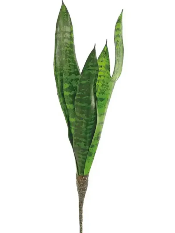 Aldik Home Tropical Plants & Flowers<Sansevieria 20 In.