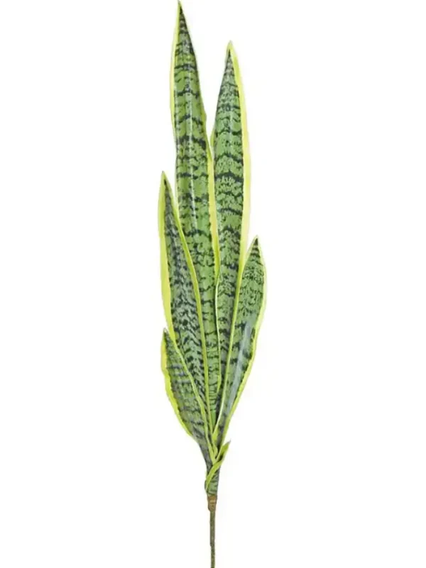 Aldik Home Tropical Plants & Flowers<Sansevieria 32 In. Geen/Yellow