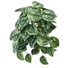 Aldik Home Desk Plants<Scindapsus Pictus Bush 9 in. Green/White