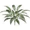 Aldik Home Tropical Plants & Flowers<Silver Queen 26 in. Dark Green