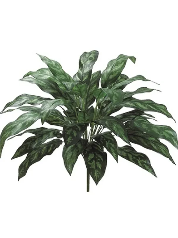 Aldik Home Tropical Plants & Flowers<Silver Queen Plant 28 in.