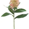 Aldik Home Tropical Plants & Flowers<Skimmia 13 in. Pink