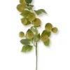 Aldik Home Fruit And Vegetables | Artificial Tree Branches<Speckled Pear Stem 31 in. Green
