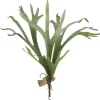 Aldik Home Tropical Plants & Flowers<Staghorn Fern 24.5 in.