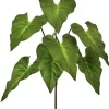 Aldik Home Desk Plants | Tropical Plants & Flowers<Taro Plant 25 in. Green