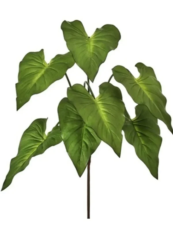 Aldik Home Desk Plants | Tropical Plants & Flowers<Taro Plant 25 in. Green