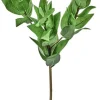 Aldik Home Tropical Plants & Flowers<Triple Israeli Ruscus Spray 20 in.