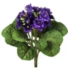 Aldik Home Flowering Bushes<Violet Plant 12 in. Violet