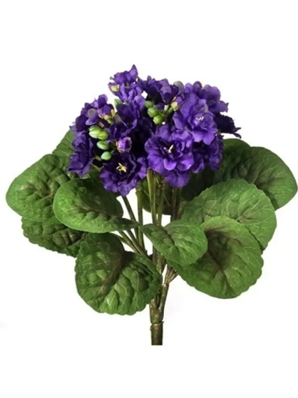 Aldik Home Flowering Bushes<Violet Plant 12 in. Violet