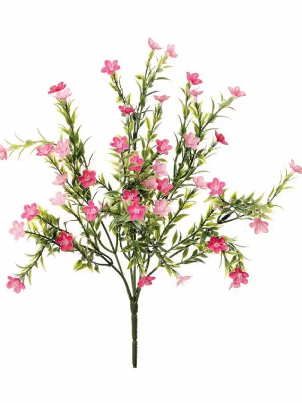 Aldik Home Flowering Bushes<Waxflower Bush 14 in. Pink